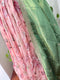 Teen 10-15 - Floral Soft Organza Lehanga Set