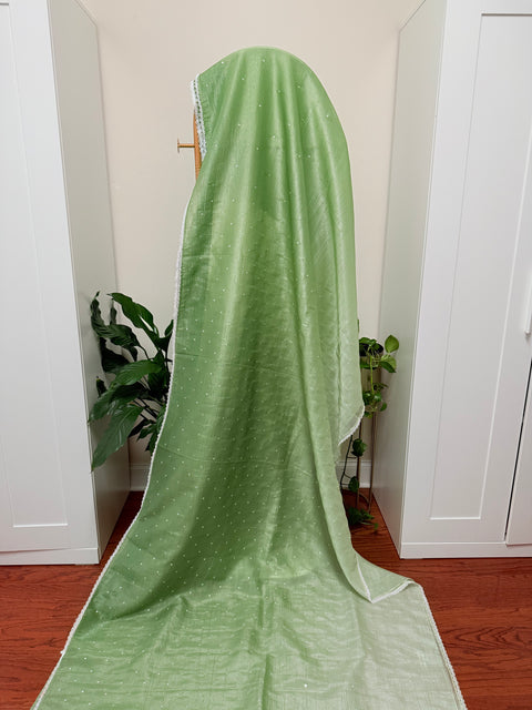 Crushed Chiffon Saree with Blouse