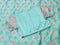 Banaras Mushru Silk Saree
