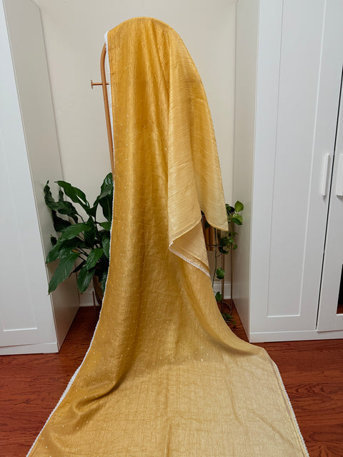 Crushed Chiffon Saree with Blouse