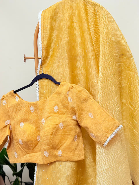 Crushed Chiffon Saree with Blouse