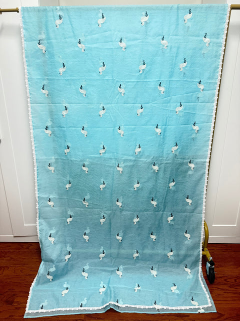 Designer Kota saree