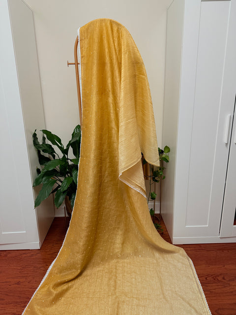 Crushed Chiffon Saree with Blouse