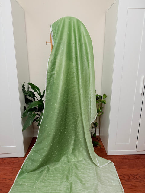 Crushed Chiffon Saree with Blouse