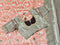 Chiniya Pattu / silk saree
