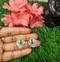 Pure 925 Silver CZ Earrings Set
