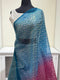 Organza Sequins Saree