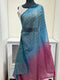 Organza Sequins Saree